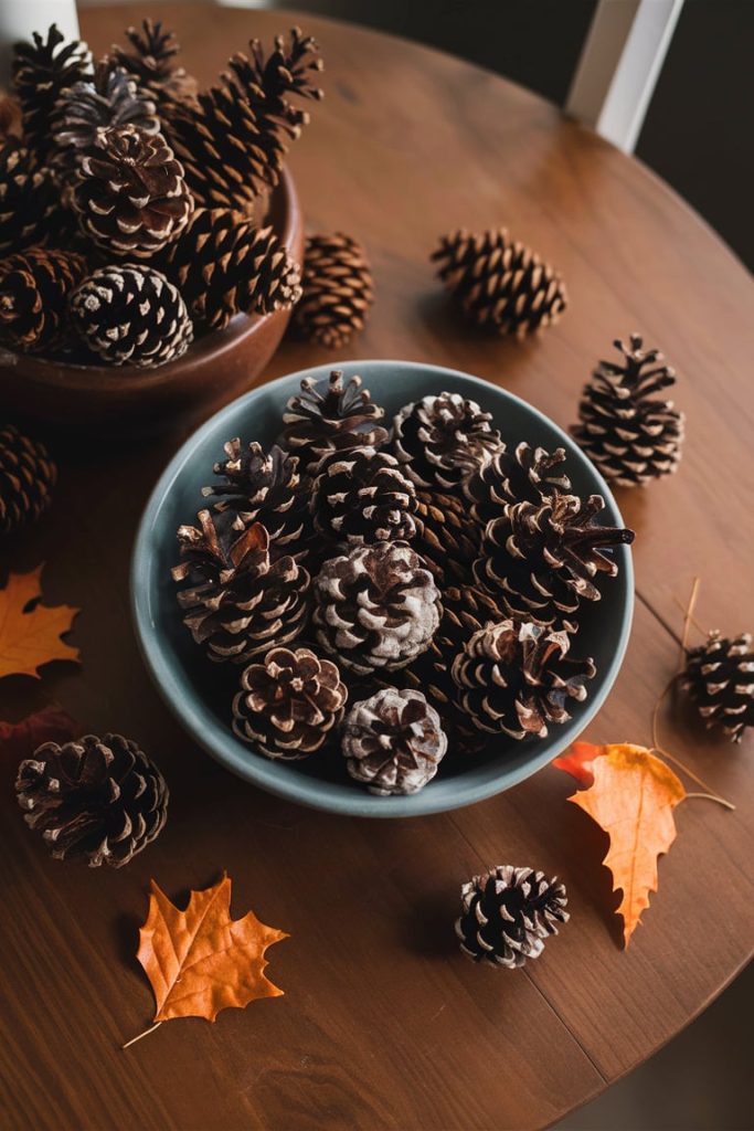 Pinecone Decor