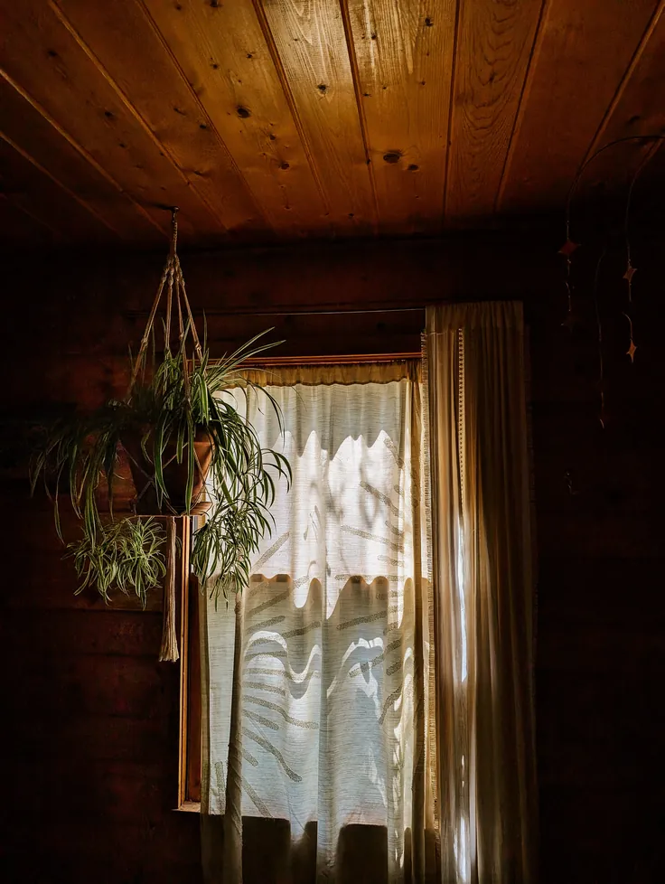 cottagecore,window,plant,curtain,light,cottage