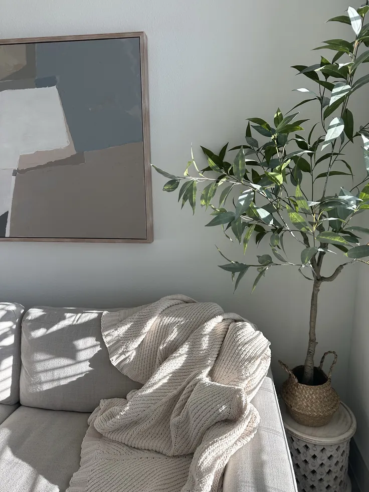 casual,living room,plant,natural light,shadow,sunlight,cozy,blanket,couch